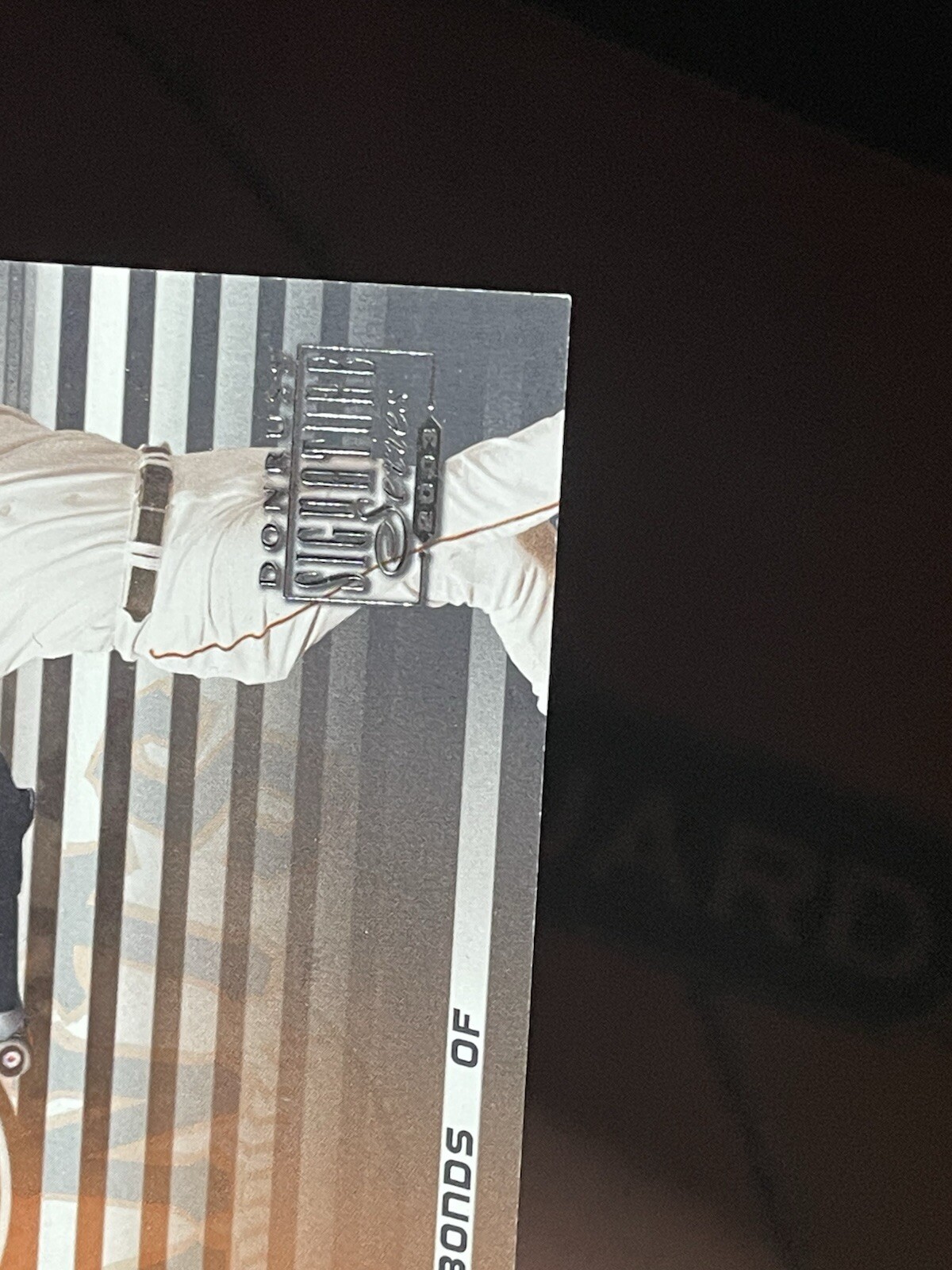 Picture 5 of 5
