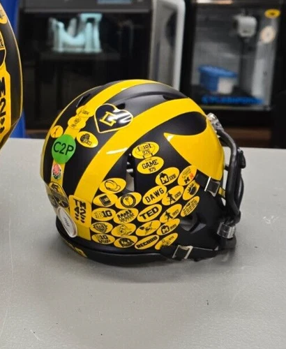 Michigan Helmet Stickers/Award Decals (Mini Size) image 2