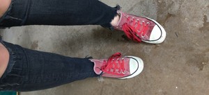 burgundy red converse