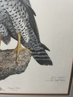 Foto 4 di 7