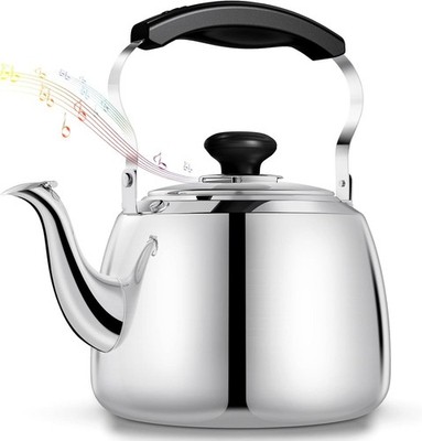 Stainless Steel Tea Kettle 2L Whistling Stovetop Food Grade Modern Durable