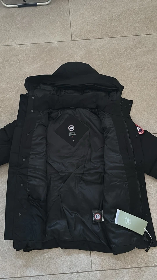 canada goose - Photo 3/4