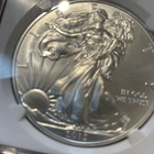 2013 American Silver Eagle