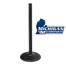 GM 12619825 Intake Valve for 2014+ L83 L84 L82 L8B 5.3L Gen V Engines