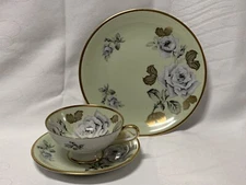 RW Bavaria Rudolf Wächter GreenRose teacup saucer & plate Excellent!!