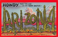 Arizona Howdy From Large Letter Linen 2B-H656...