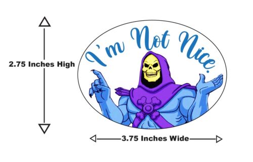 Masters of the Universe: Skeletor ""Im Not Nice - Imagen 2 de 3