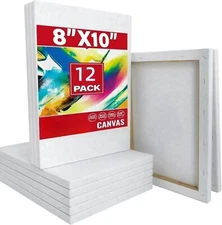 16 Pack Stretched Canvas for Painting Blank Art Cotton Canvases for Acrylic Oil