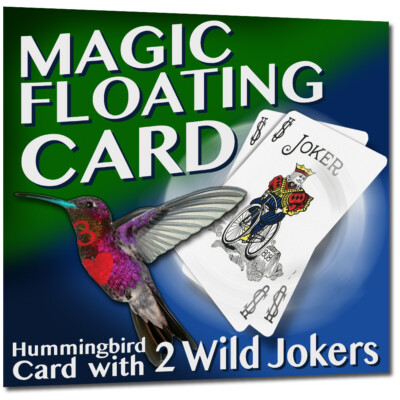 Hummingbird Card with Online Learning