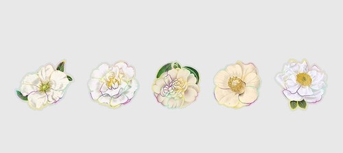 5x Gilding PVC Self-Adhesive Sticker Bookmark Flowers Daisy Poppy Camellia Rose - Picture 12 of 15