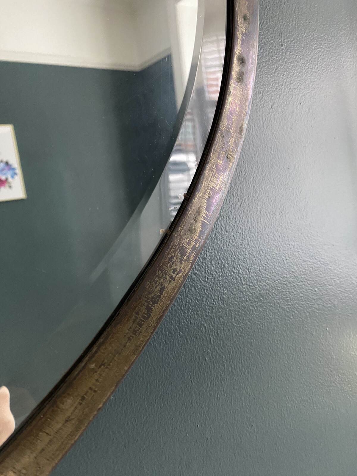 Antique Oval Mirror eBay