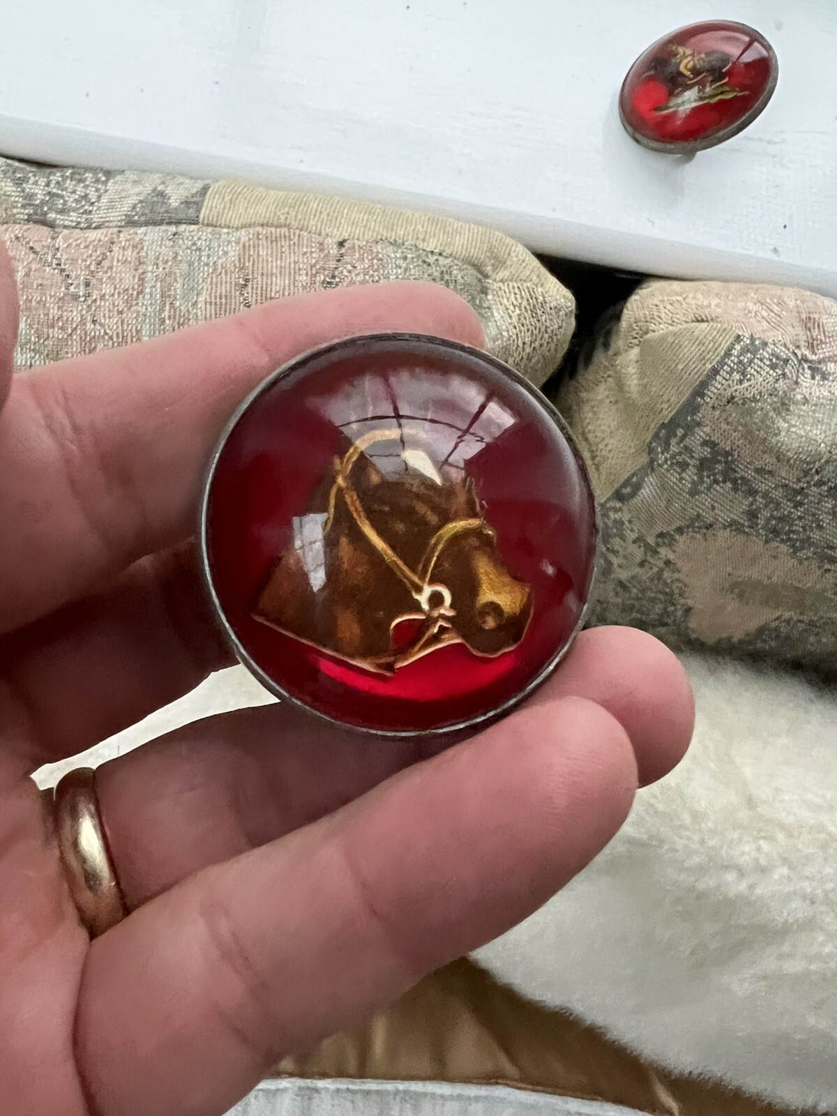 Vintage CHAPMAN HORSE BRIDLE ROSSETTES INSTITUTO TECNOLÓGICO DE CHINÁ