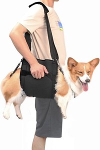 Coodeo Dog Carry Sling Emergency Backpack Rehabilitation Dog Lift Harness 