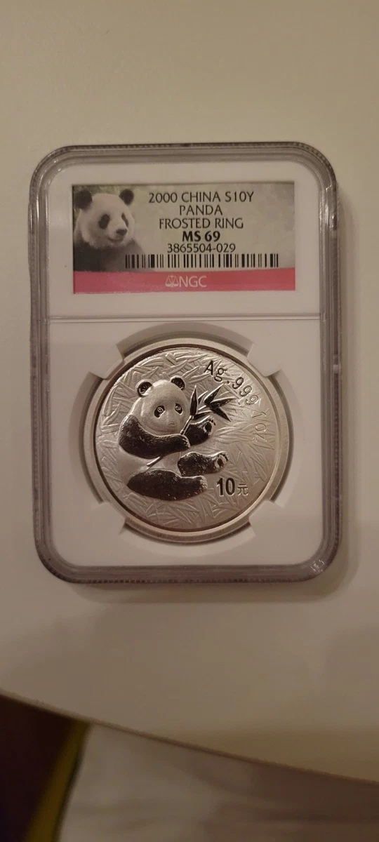 2000 Silver Panda for sale | eBay