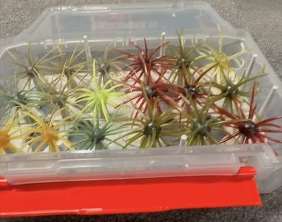 Coike/Urchin Storage Box Insert for Rapala 3700