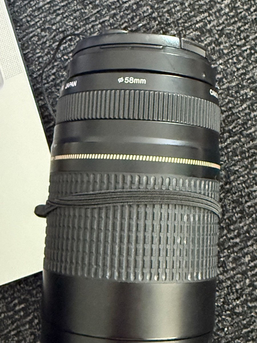 Canon EF 75-300mm F4-5.6 II USM Zoom Lens Preowned | eBay