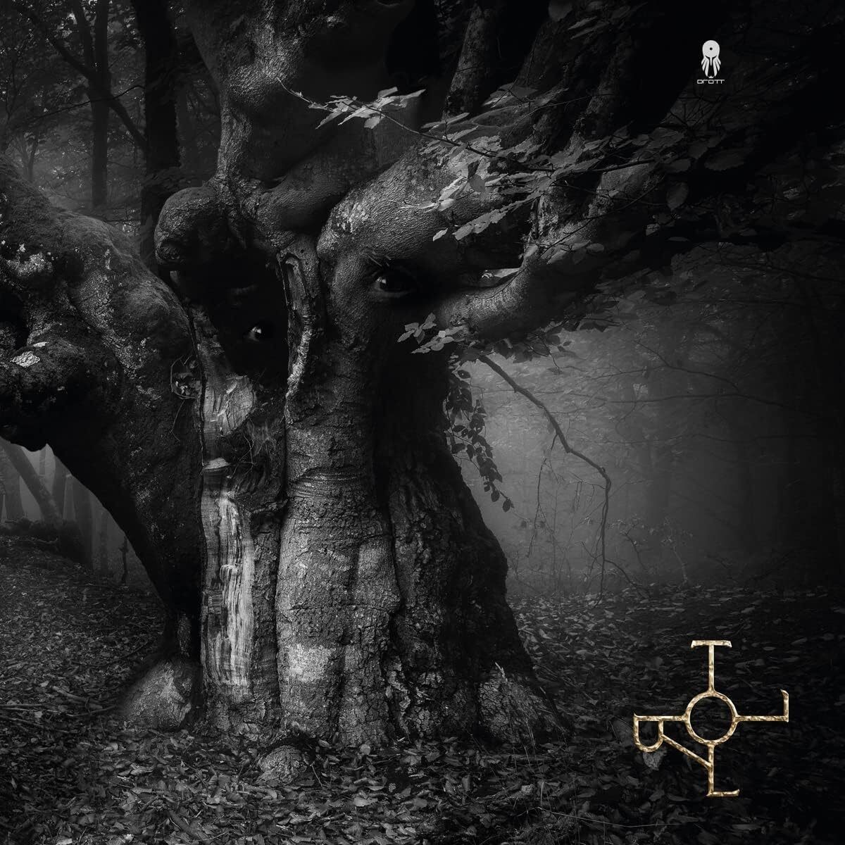 Альбом DROTT Troll (винил) 12 (ИМПОРТИРОВАН из Великобритании)