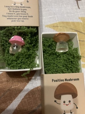 Emotional Support Positive Affirmation Resin Mushroom Gift For Anxiety Set of 2!