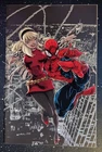 Amazing Spider-Man #30 Kaare Andrews Virgin Variant NM