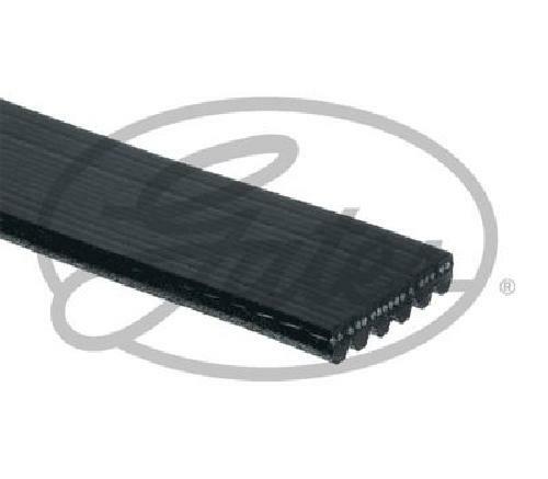 GATES MICRO-V MULTI-RIBBED BELT - 6PK1986EST - Image 22