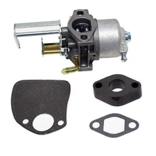 Genuine OEM Toro Complete Carb Service Kit 119-1980 Power Clear 180 418ZE 418ZR