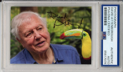 DAVID ATTENBOROUGH SIGNED PHOTO PICTURE AUTOGRAPH PSA DNA COA Planet Earth Ocean