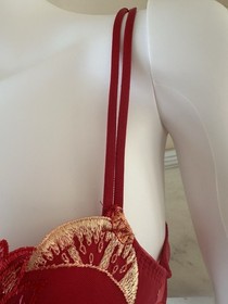 Lise Charmel Fleurs de Cerisier Cherry Embroidered Bra & Brief Set - Designer