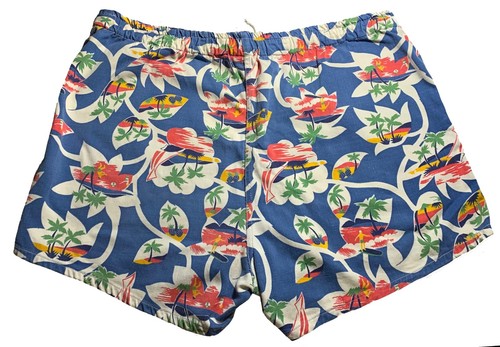 BROCKWAY Vintage 60s Men's Swim Trunks - Sz 36 - California Surfer Print - Blue - Picture 3 of 10