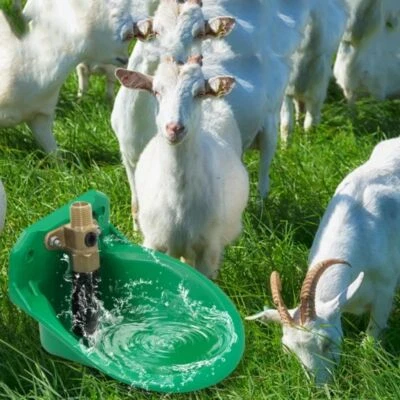 Automatic Water Trough Drinker Bowl Poultry Drinker Dog Chooks Horse Sheep