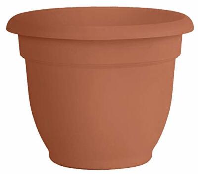 Bloem Ariana Self Watering Planter 20 Terra Cotta - Bed Bath & Beyond - 14268855