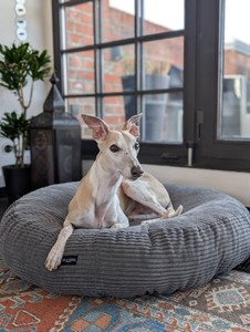 Flocke Hundebett | eBay.de
