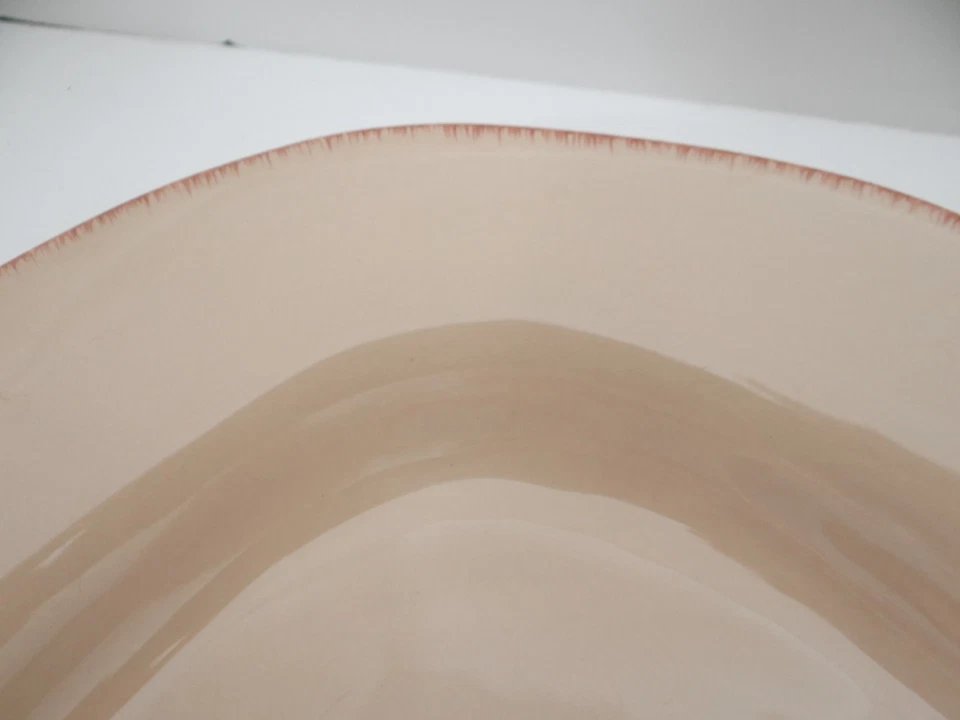 Juego de 2 platos de cena Pier 1 elemental miel loza Foto 4 de 4