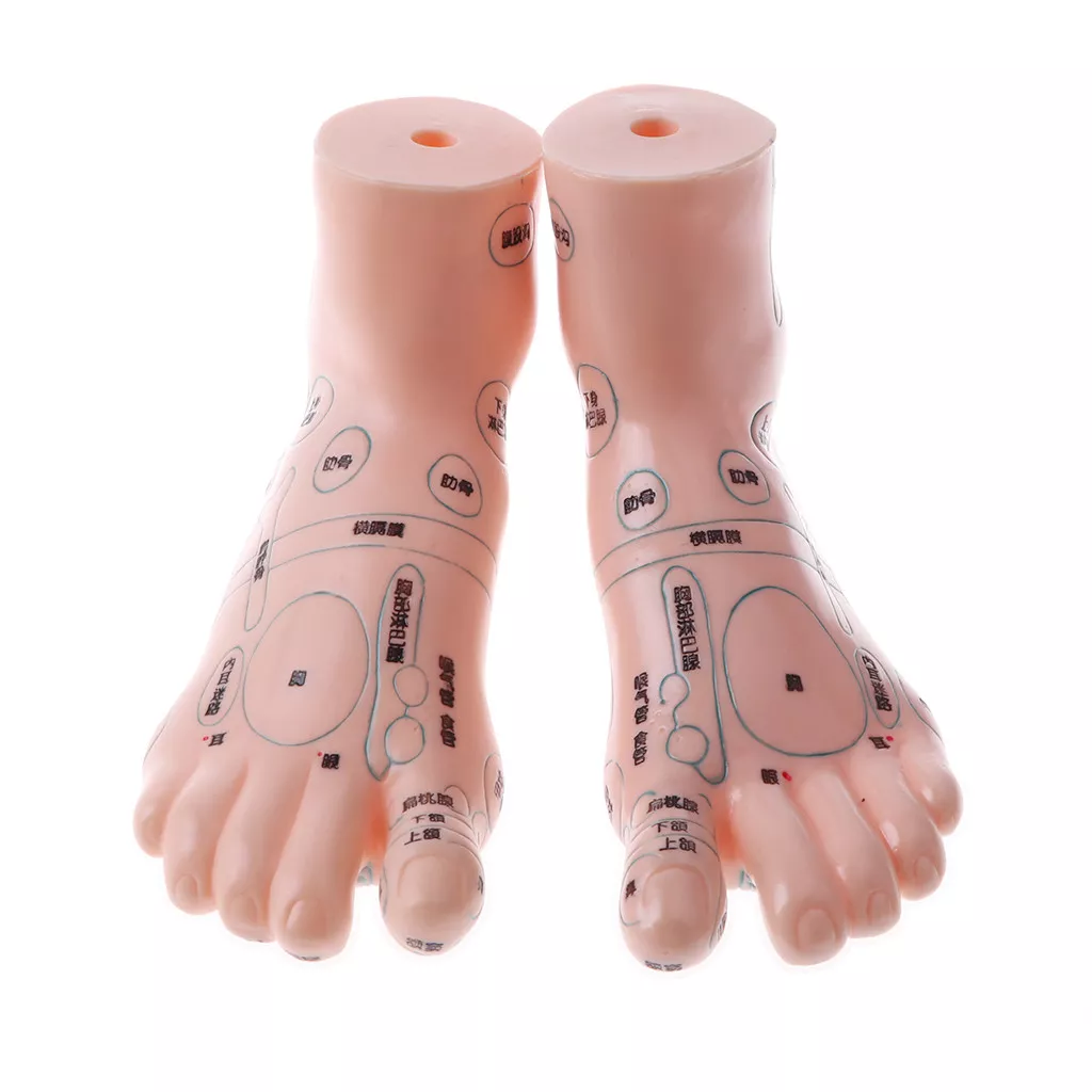 19 cm top in feet