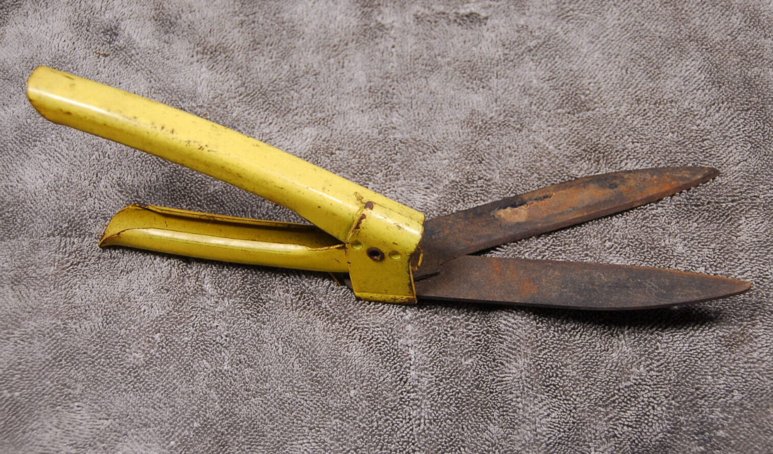 sharpening grass clippers