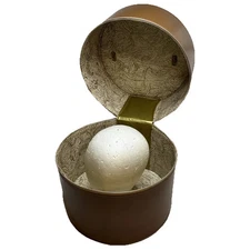 Rare Hat Box Wig Case Train Case Round Travel Luggage Vintage With Head Brown ￼