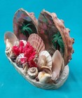 Signed 1959 St. Peterburg FLORIDA Sea Shell Art / Large Impressive Piece  — photo 8