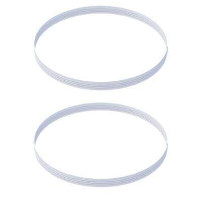 2x Dichtung für Wessper AquaMax CrystalLine Kanne, verhindert das Auslaufen