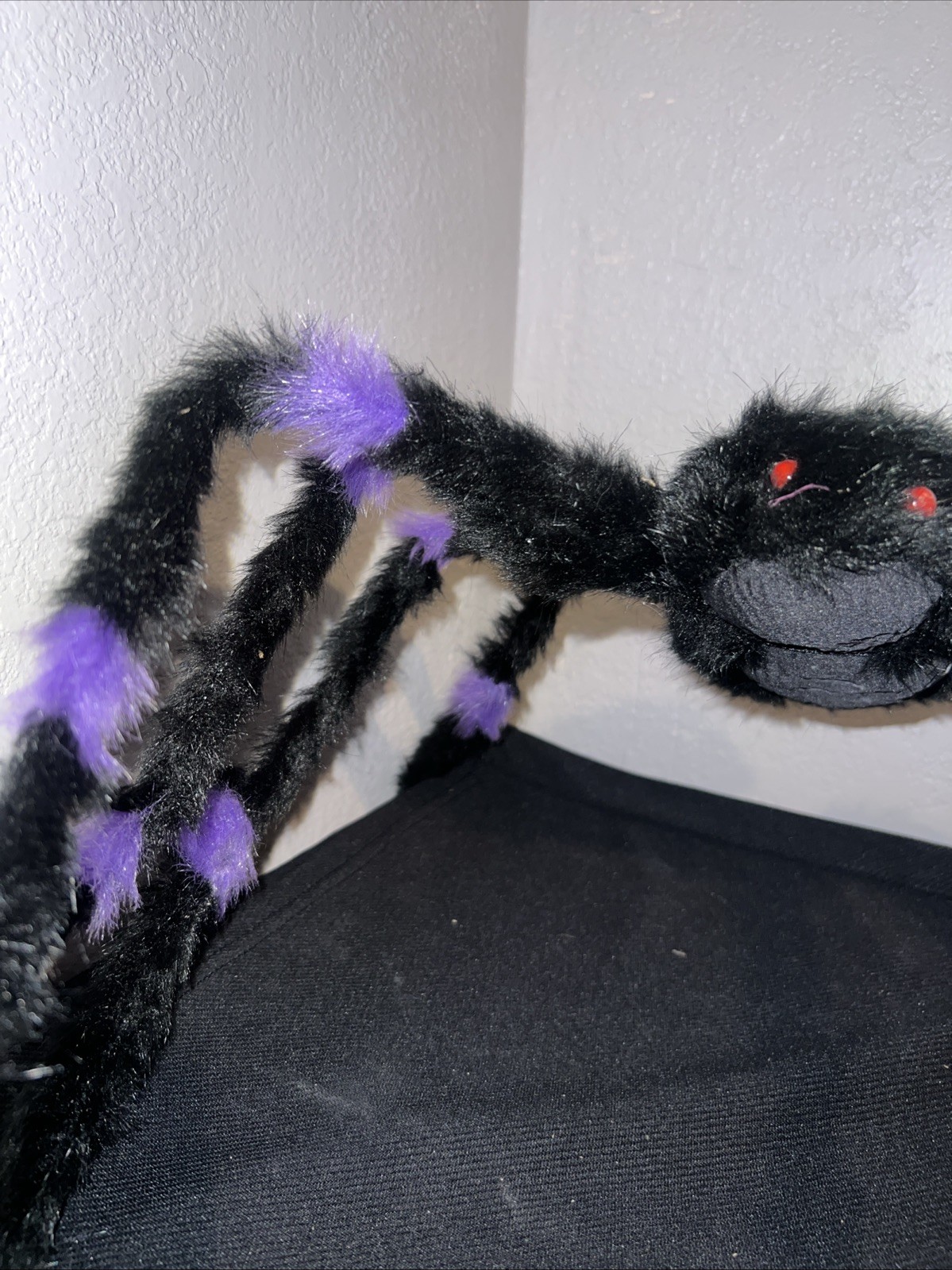 Picture 4 of 5