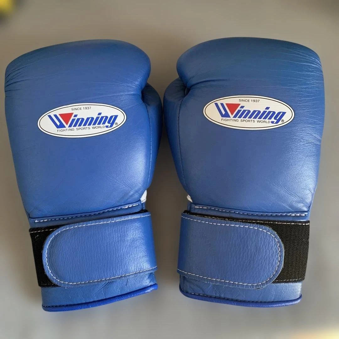 25+ Winning 12oz Boxing Gloves for sale | Updated Oct 2026