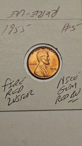 wheat penny 1955 GEM RED BU 1955-P LOT #5 LINCOLN CENT FIRE RED UNC LUSTER