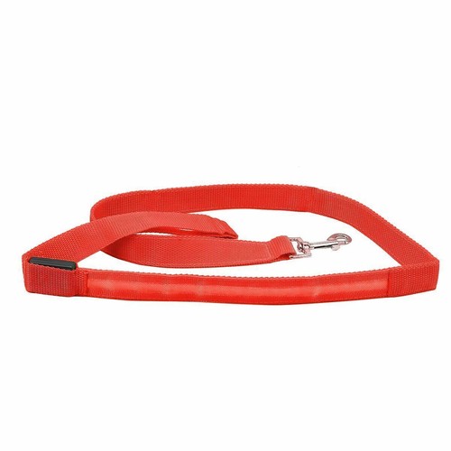 Guinzaglio LED Lampeggiante per Cani Illumina Luminoso Notte Animali Domestici Sicurezza Passeggio Nylon US - Foto 10 di 16