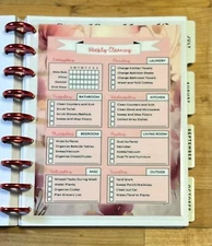 Weekly Cleaning Dashboard Insert 4 use with Classic HAPPY Planner~
