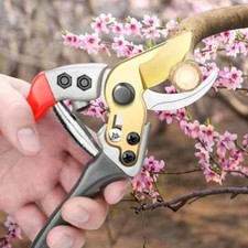 8-Inch Gardening Scissors Thick Branch Fruit Tree Scissors Labor-saving Bonsai