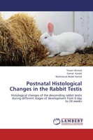 Yasser Ahmed (U. A.) | Postnatal Histological Changes In The Rabbit Testis