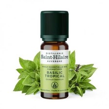 Huile essentielle - Basilic tropical - Distillerie Saint Hilaire - 10ml