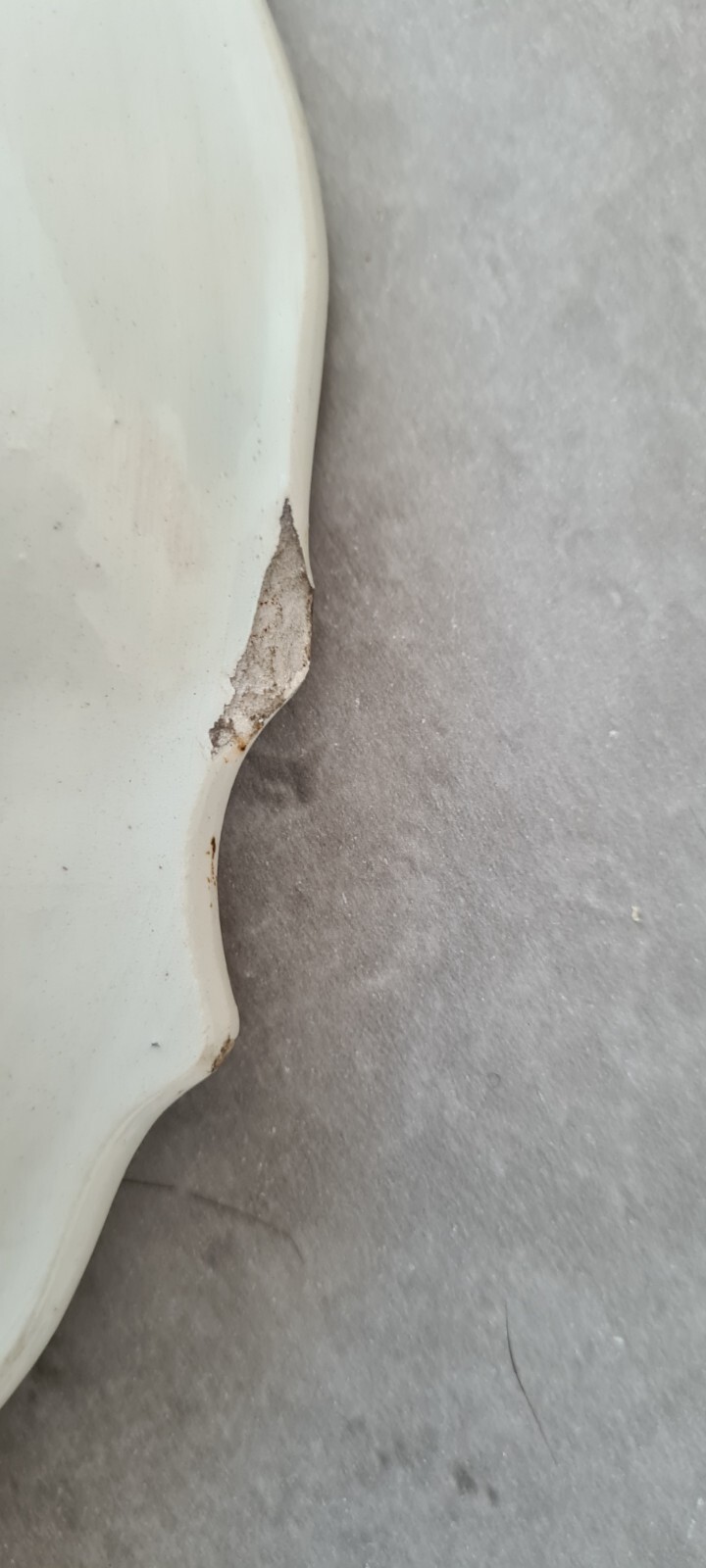 Picture 5 of 5