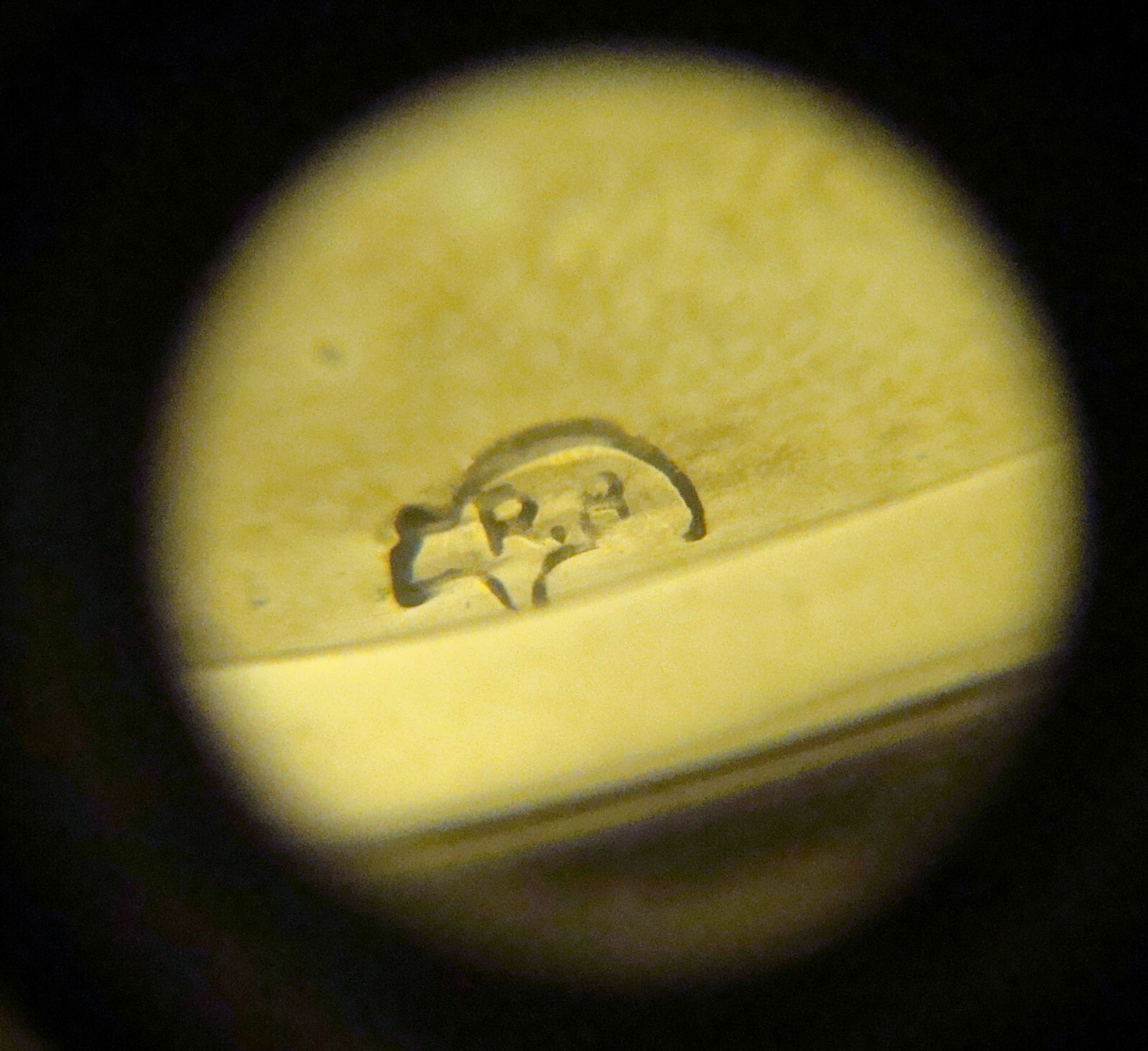 Running Bear Cuff Bracelet Multi-Colored Stone St… - image 7