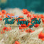 that_texas_girl