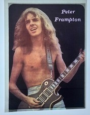 Vintage 1976 Peter Frampton English And American Rock Musician Iron On Transfer