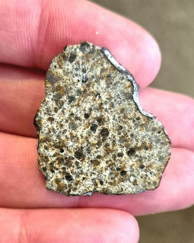 EL MENIA 3.08g L5 Chondrite Meteorite Slice Witnessed Fall 2023 beautiful slice - Picture 2 of 8